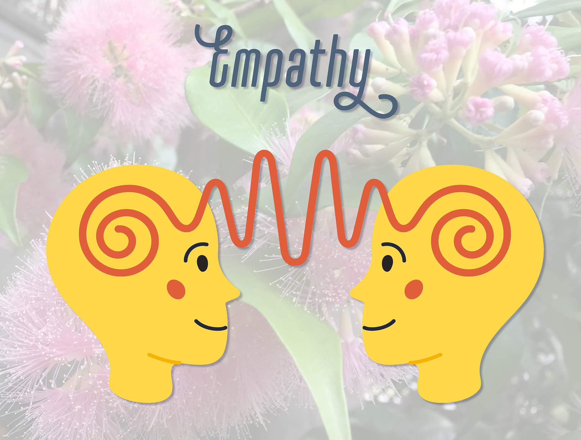 Empathy skype что это