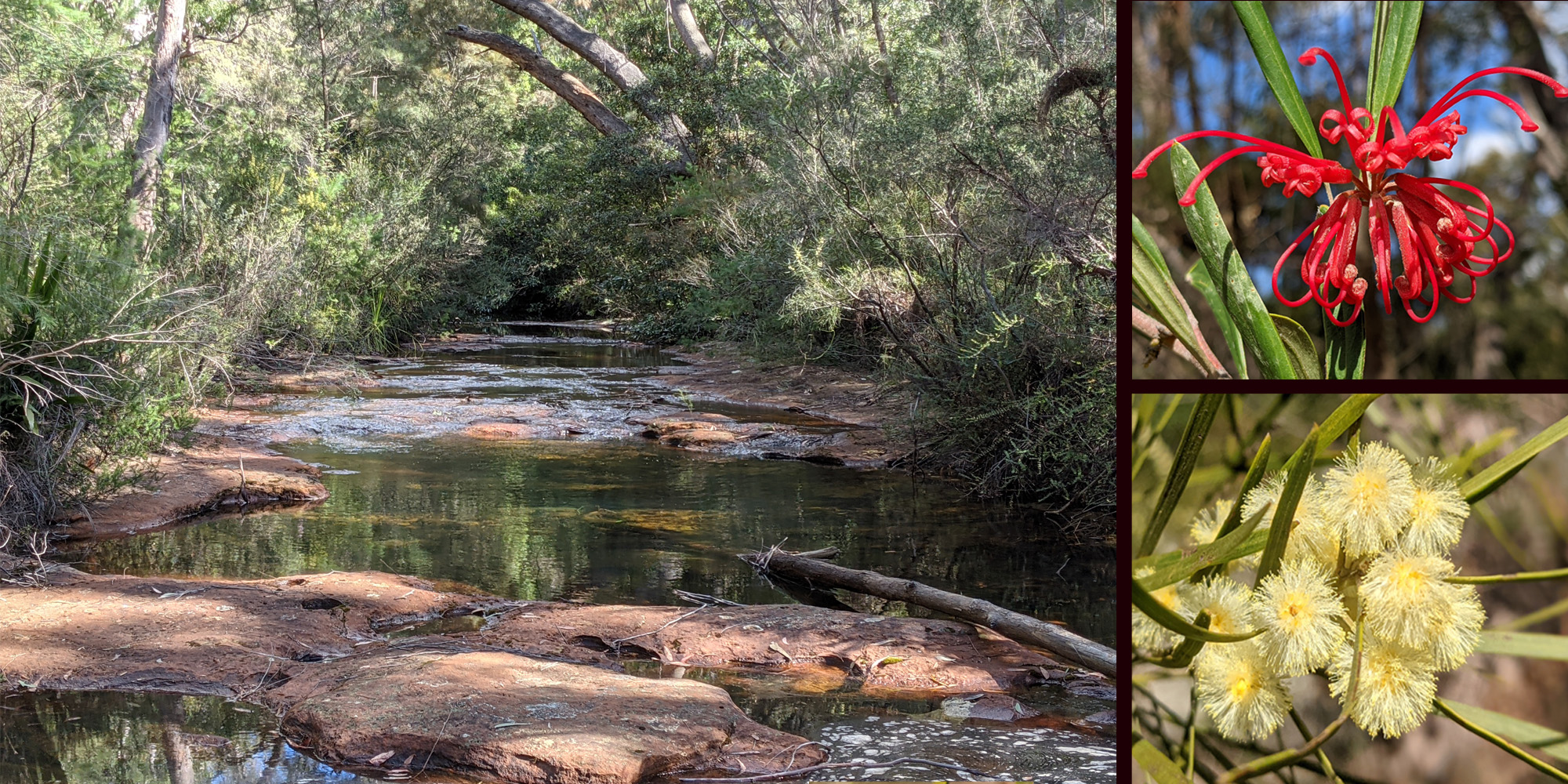 Mother Earth Healing and Grounding Meditation. Meditation for Grounding and Centering with Gaia.